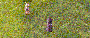 Comet 1.1 ‐ Hecho con Clipchamp (3).gif